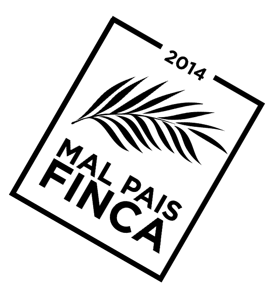 Logo Black